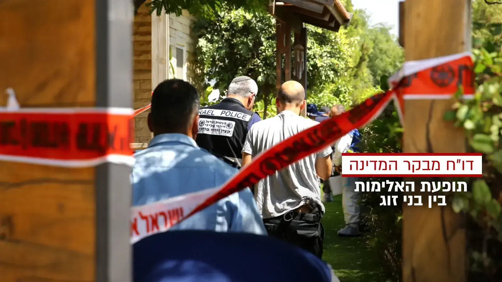 דוח מבקר המדינה
תופעת האלימות בין בני זוג