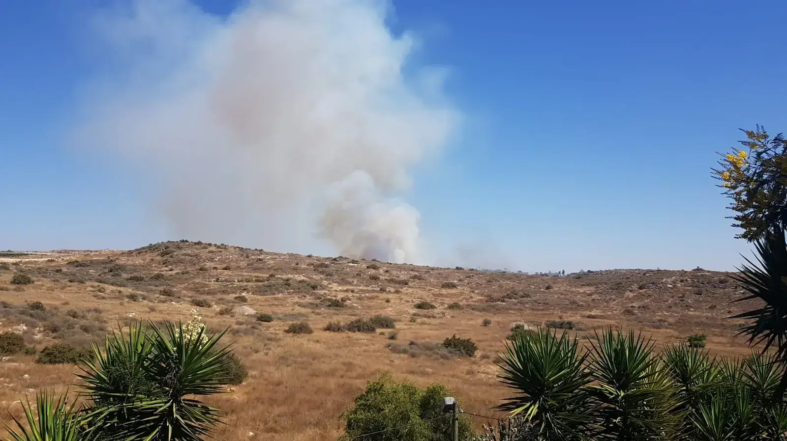 שריפת חורש החלה בנירית 7 ניוני 2021