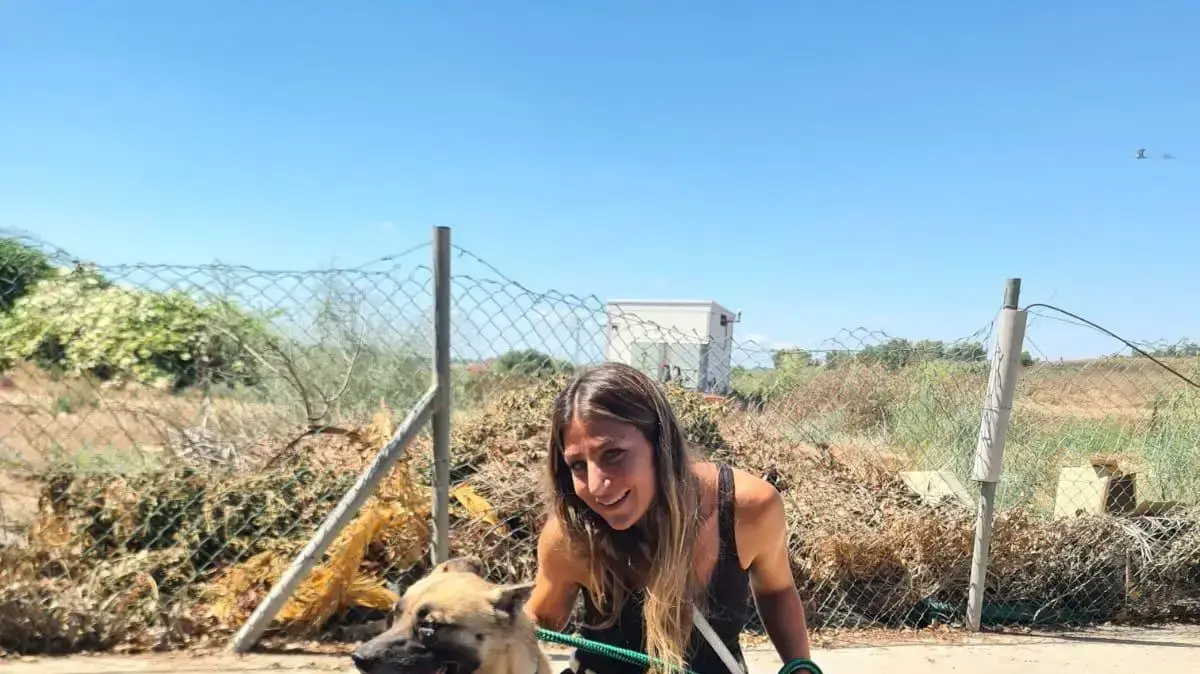 הכלב שנעלם בנתניה התגלה אחרי שנתיים בג'סר א-זרקא הכלב שנעלם בנתניה התגלה אחרי שנתיים בג'סר א-זרקא