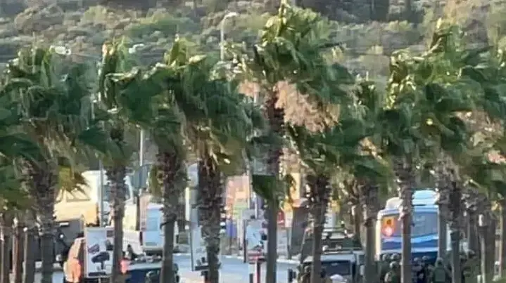צה"ל ושב"כ: עשרות פעילי טרור של חמאס נעצרו סמוך לרמאללה, 14.07.21 צה"ל ושב"כ: עשרות פעילי טרור של חמאס נעצרו סמוך לרמאללה, 14.07.21