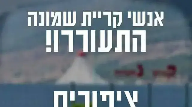 הפגנת "ציפורים אינן אמיתיות" בקריית שמונה הפגנת "ציפורים אינן אמיתיות" בקריית שמונה
