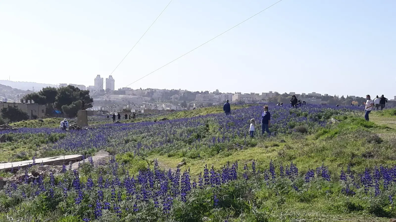גבעת מצפתל גבעת מצפתל