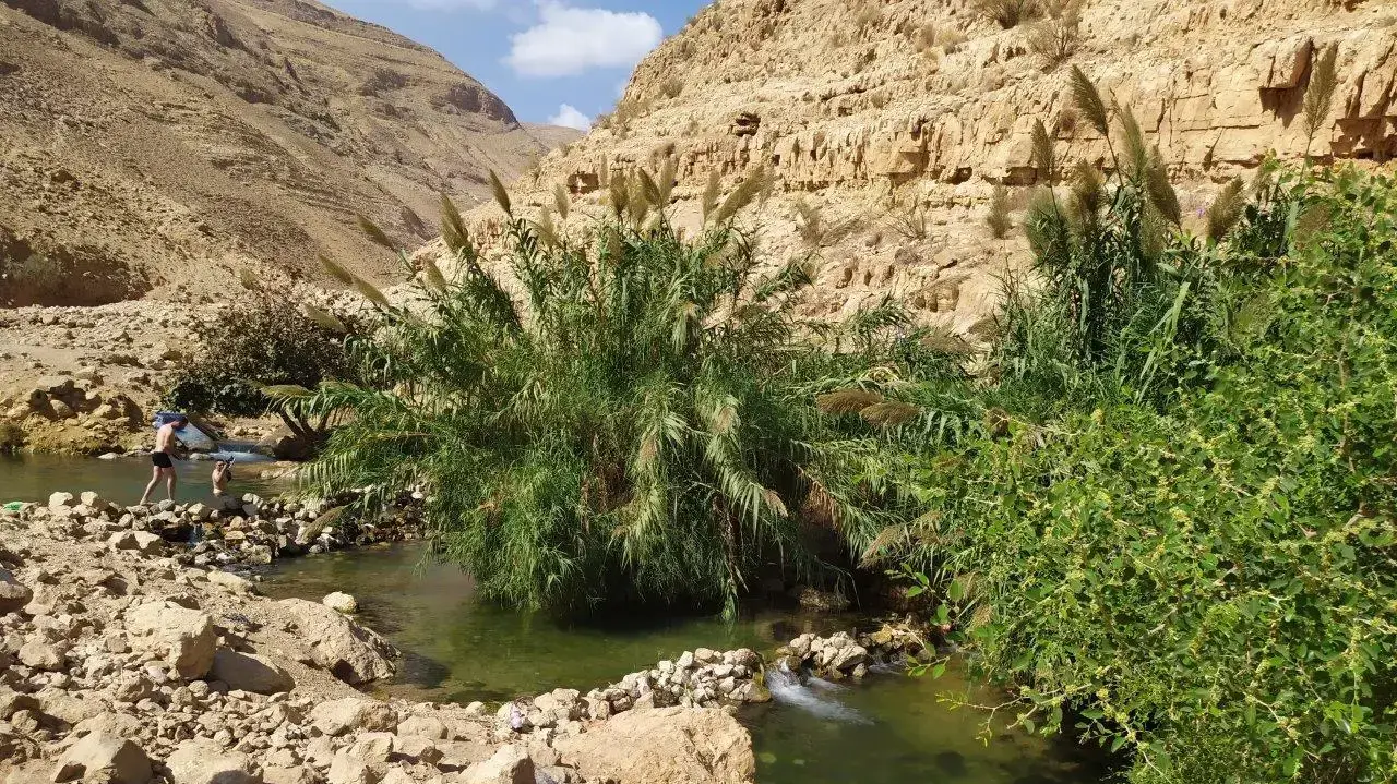 נחל ייט"ב ואדי עוג'ה