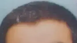 סאמר סאמר