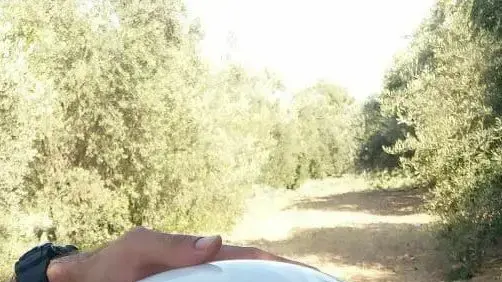 הפרחת בלוני תבערה מעזה לישראל, 25 ביולי 2021 הפרחת בלוני תבערה מעזה לישראל, 25 ביולי 2021
