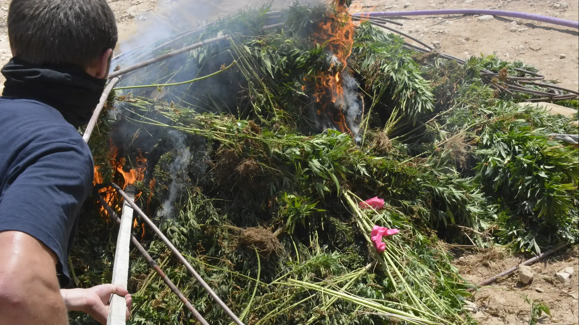במסגרת מבצע "ערבה בטוחה“ פעלו בגבול ישראל-ירדן כוחות צה״ל ומשמר הגבול, עצרו חמישה ירדנים, והשמידו חממות לגידול סמים
28 ביולי 2021 במסגרת מבצע "ערבה בטוחה“ פעלו בגבול ישראל-ירדן כוחות צה״ל ומשמר הגבול, עצרו חמישה ירדנים, והשמידו חממות לגידול סמים
28 ביולי 2021