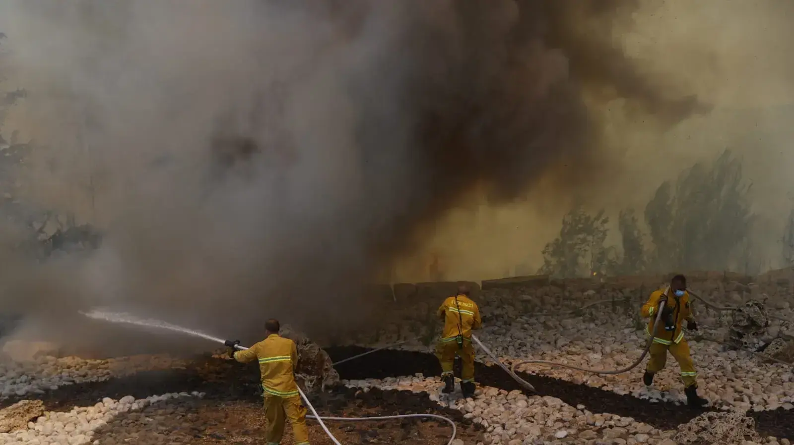 שריפה סמוך לשורש, 3 באוגוסט 2021 שריפה סמוך לשורש, 3 באוגוסט 2021