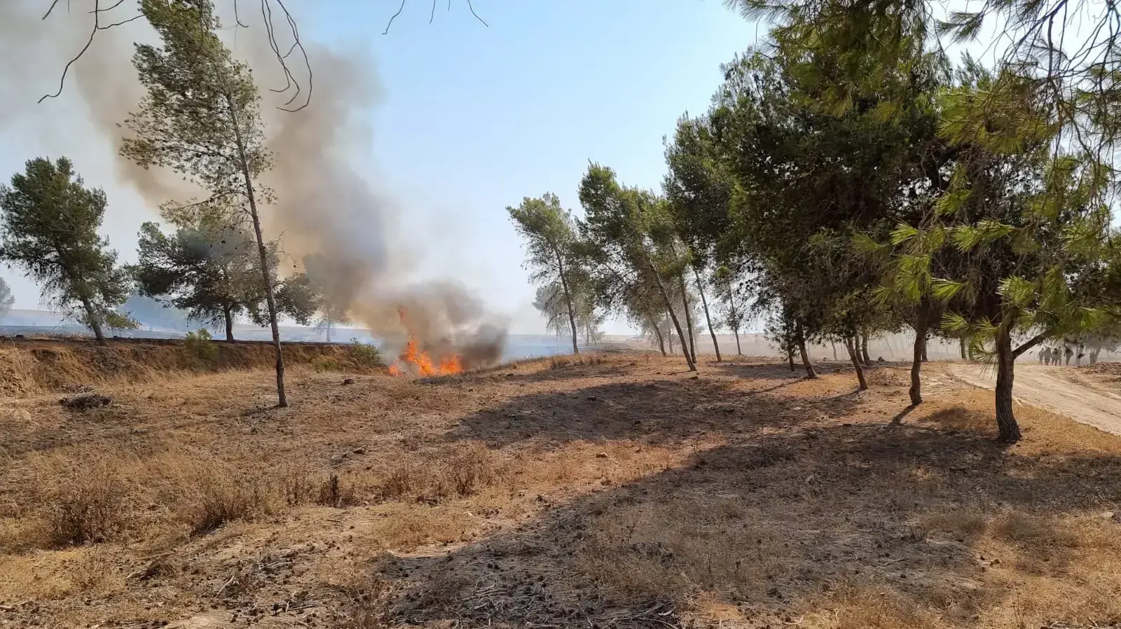שריפות בעוטף עזה, חשד לבלוני תבערה. 6 באוגוסט 2021 שריפות בעוטף עזה, חשד לבלוני תבערה. 6 באוגוסט 2021