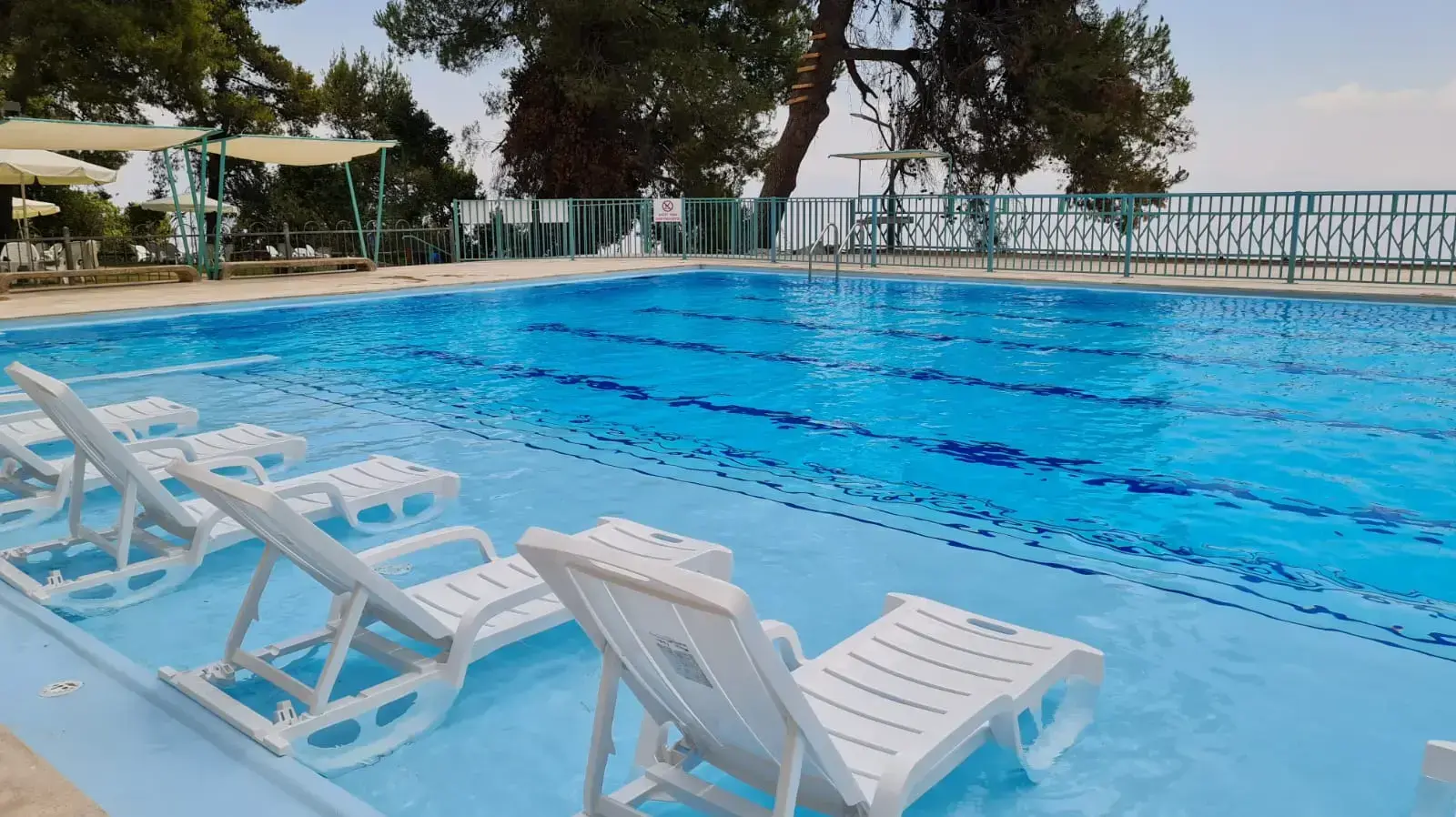 בריכות השחייה במתחם האירוח בקיבוץ מנרה. 6 באוגוסט 2021