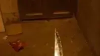 פלסטינית ניסתה לדקור חייל באזור צומת יצהר, 10 באוגוסט 2021. פלסטינית ניסתה לדקור חייל באזור צומת יצהר, 10 באוגוסט 2021.