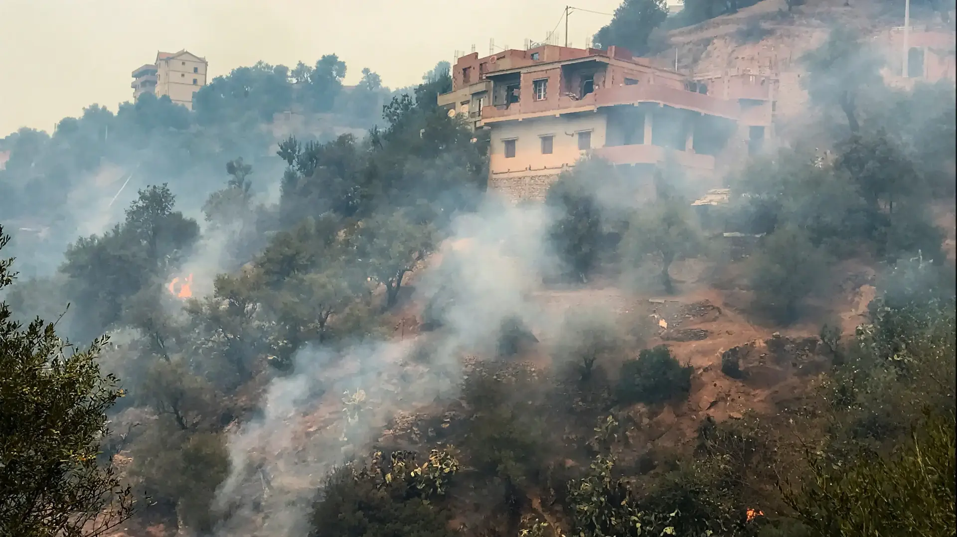 שריפה שפרצה ביער באלג'יר בירת אלג'יריה 10 באוגוסט 2021