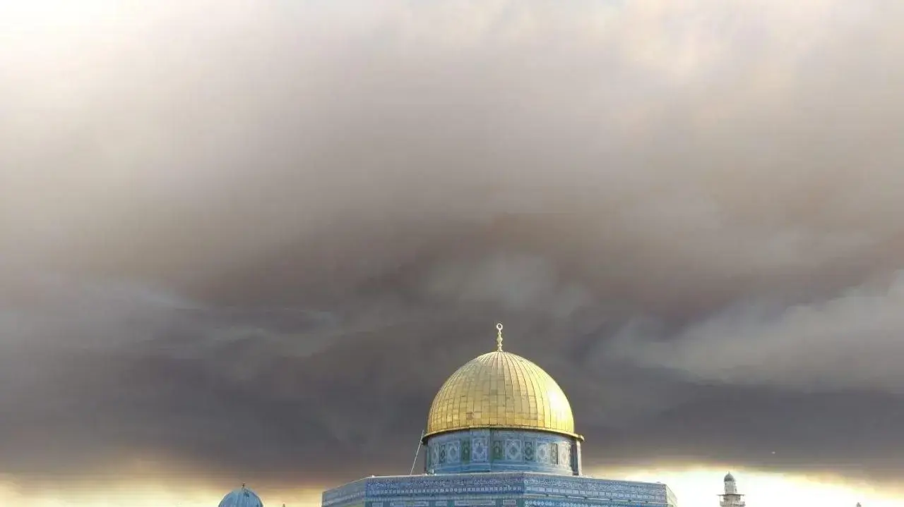 השריפה מירושלים
ממבנה הר הבית 15 באוגוסט 2021 השריפה מירושלים
ממבנה הר הבית 15 באוגוסט 2021