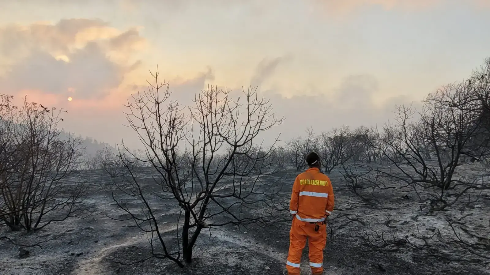אזור השריפה בהרי ירושלים, 16.8.21 אזור השריפה בהרי ירושלים, 16.8.21