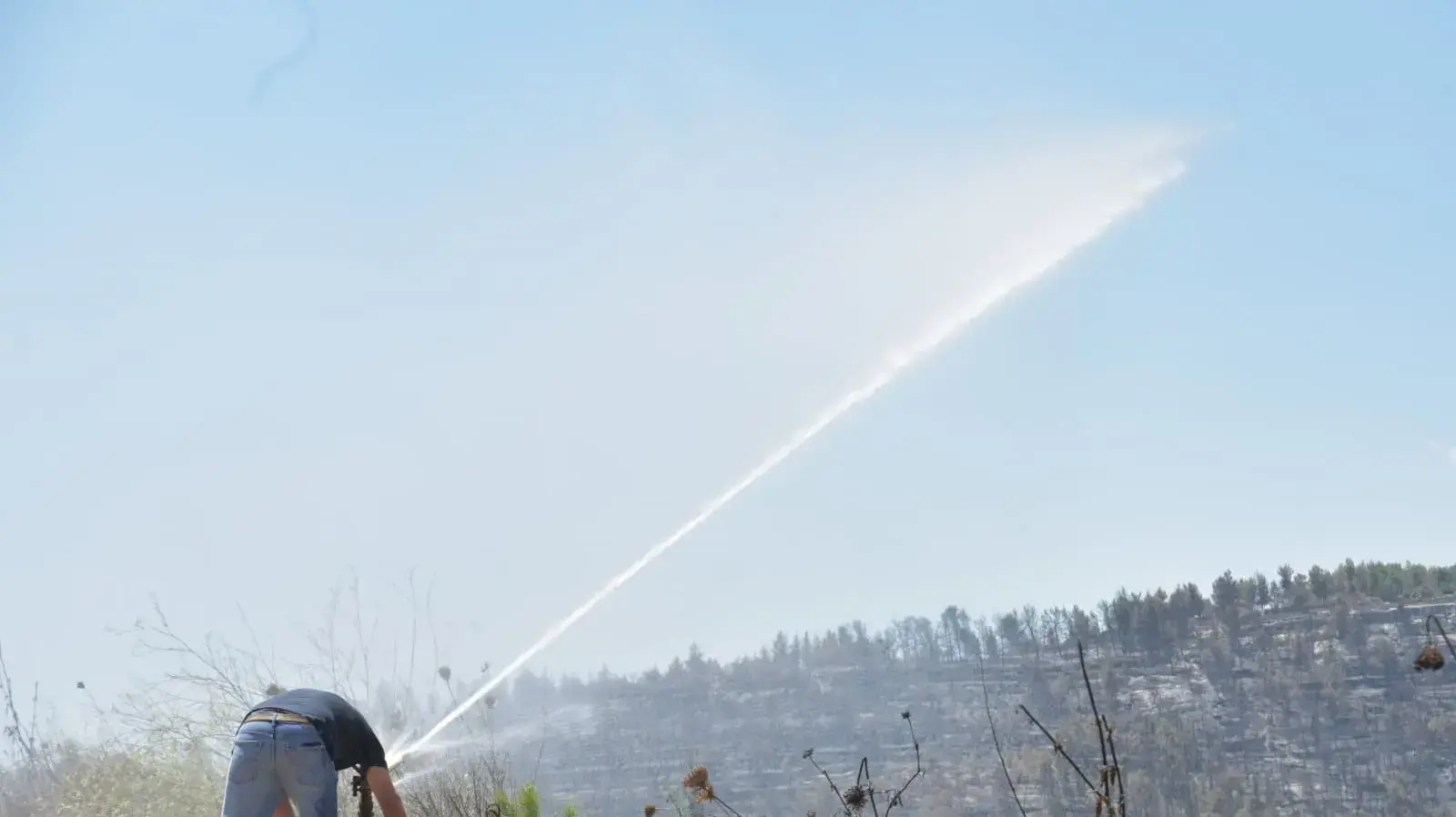 ניסיונות להתגבר על השריפה בירושלים 17 באוגוסט 2021