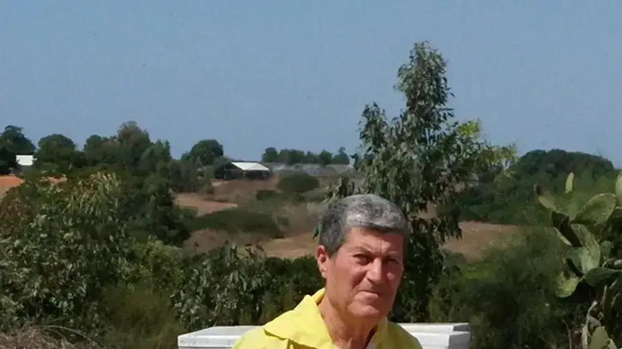 משה פאר