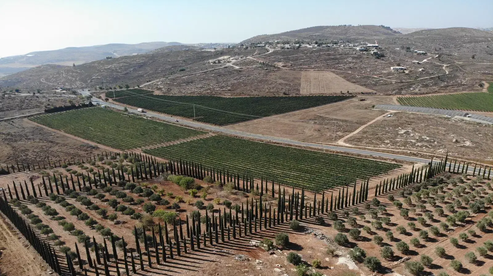 מטע זיתים, שייעקר ממקומו ב-10 באוקטובר 2021 ביהודה ושומרון בשל עתירת פלסטינים הטוענים לבעלות על הקרקע.