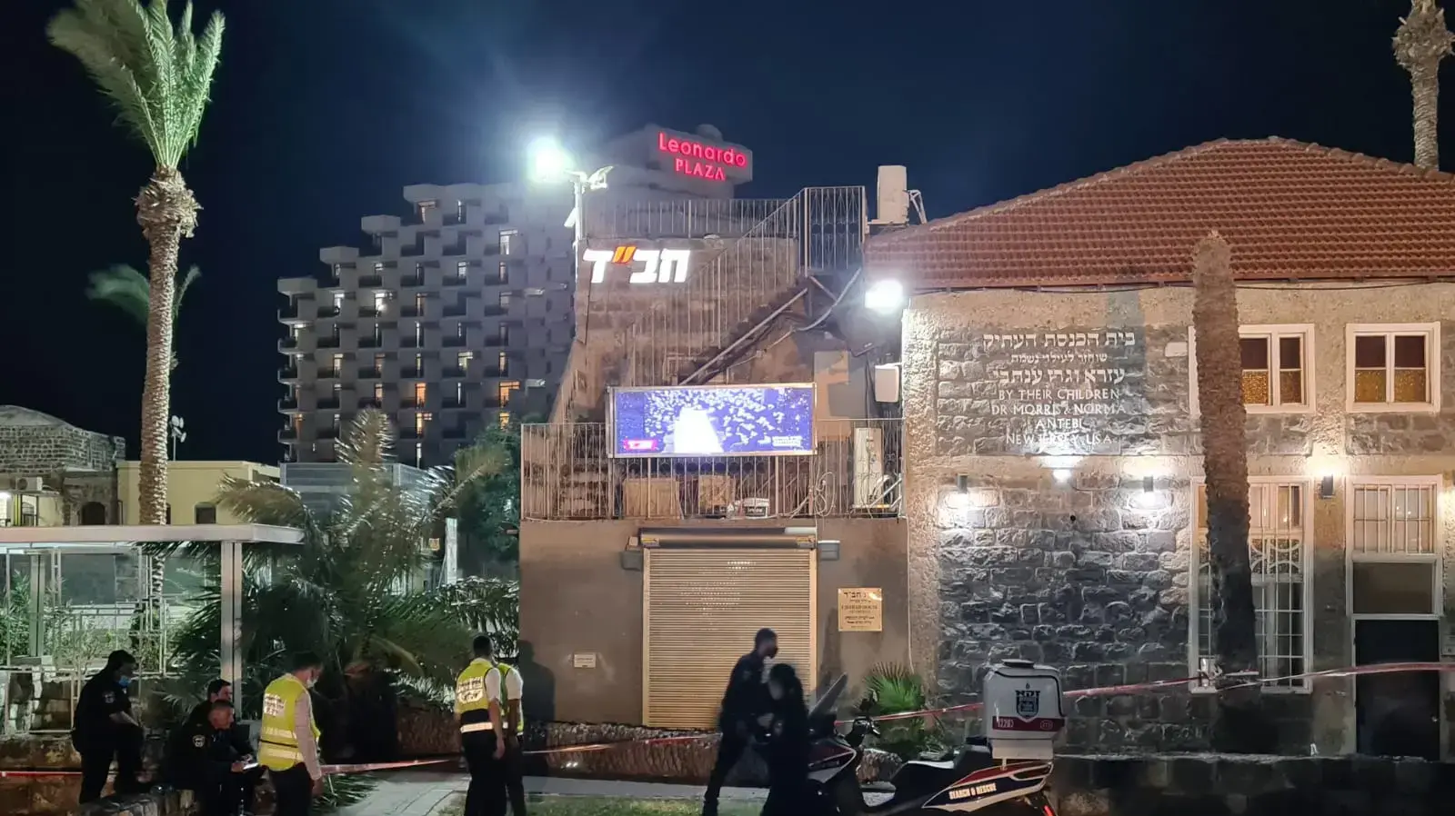 עץ דקל קרס וגרם למותה של אישה בטיילת טבריה, 22 באוגוסט 2021