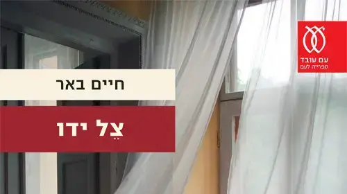 כריכת הספר "צל ידו" מאת חיים באר כריכת הספר "צל ידו" מאת חיים באר