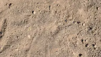 אחת העקבות שנותרו בשטח והביאו לתפיסת זביידי
אחת העקבות שנותרו בשטח והביאו לתפיסת זביידי