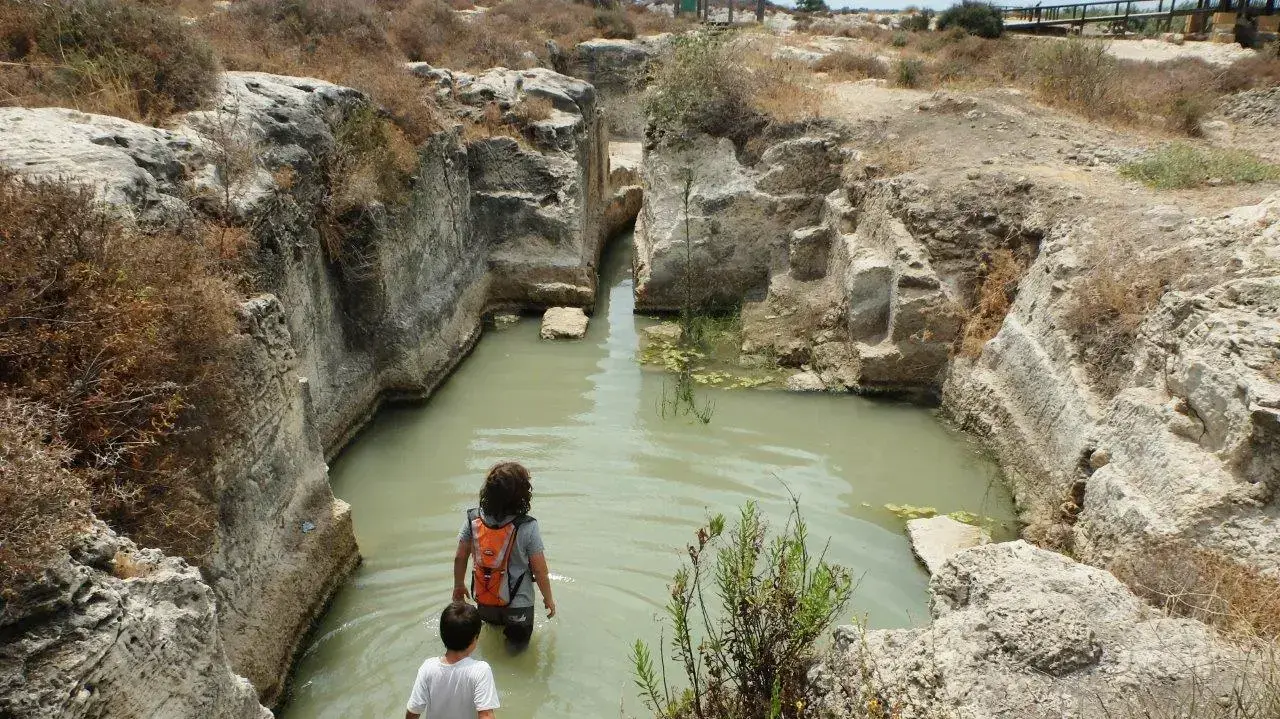 שמורת טבע נחל תנינים שמורת טבע נחל תנינים