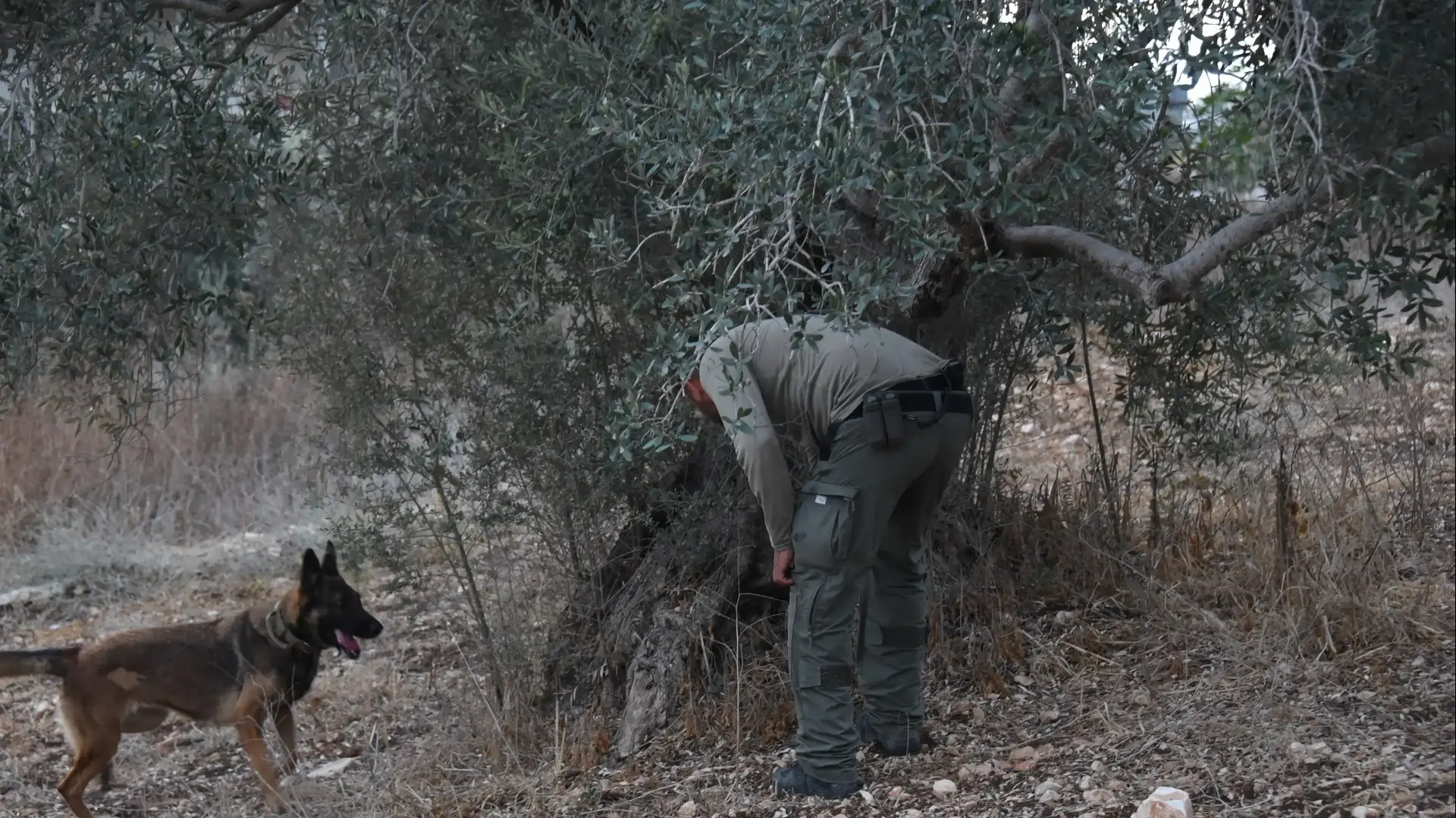 המשטרה פשטה על 63 בתים בצפון במסגרת המלחמה בפשע במגזר הערבי, 24 בספטמבר 2021 המשטרה פשטה על 63 בתים בצפון במסגרת המלחמה בפשע במגזר הערבי, 24 בספטמבר 2021