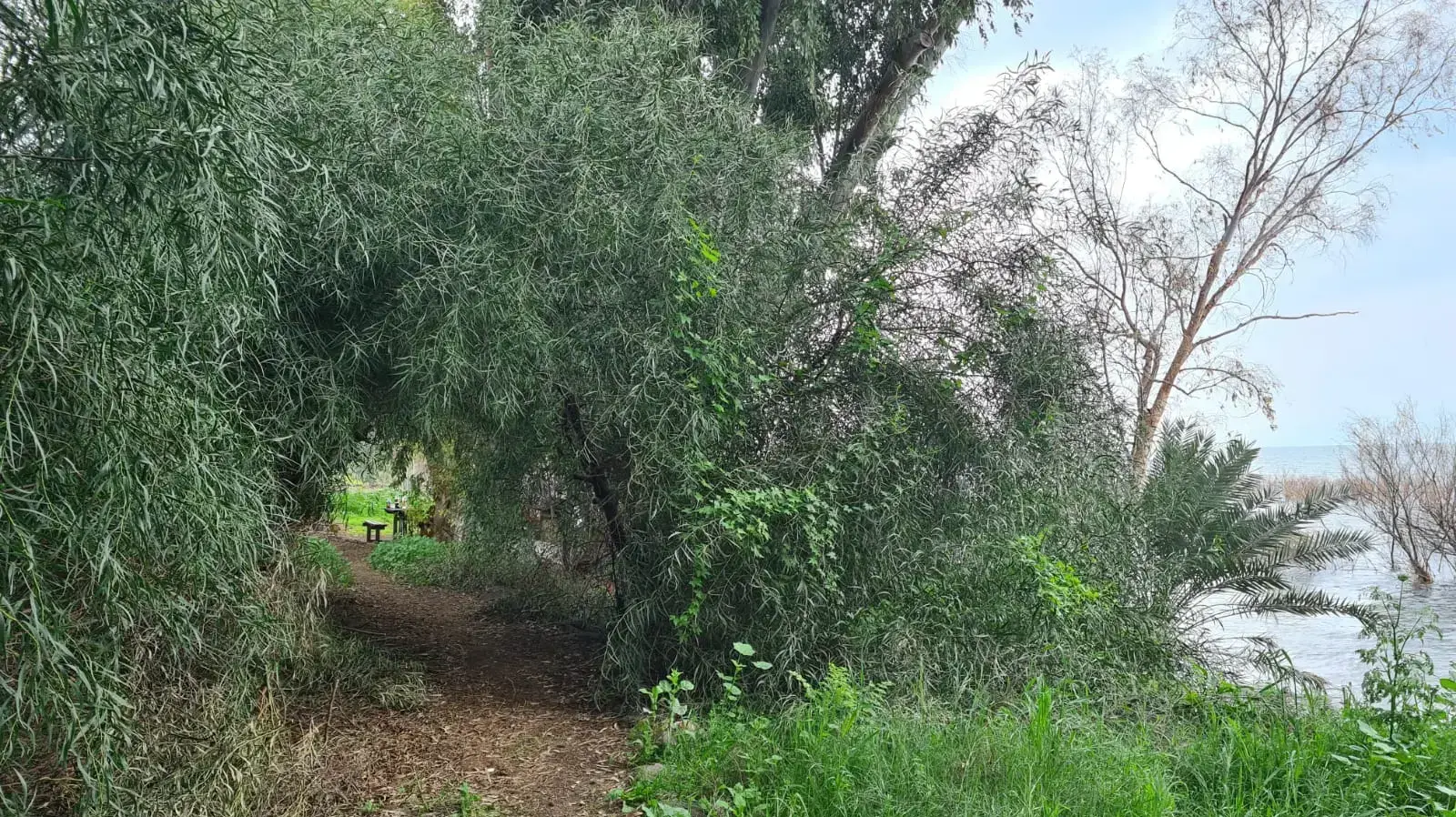 קטע בשביל סובב כנרת, 2021 קטע בשביל סובב כנרת, 2021
