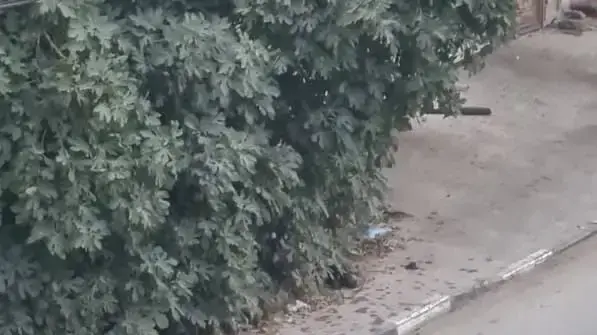 כוחות צה"ל בכפר בורקין ליד ג'נין, 26 בספטמבר, 2021 כוחות צה"ל בכפר בורקין ליד ג'נין, 26 בספטמבר, 2021