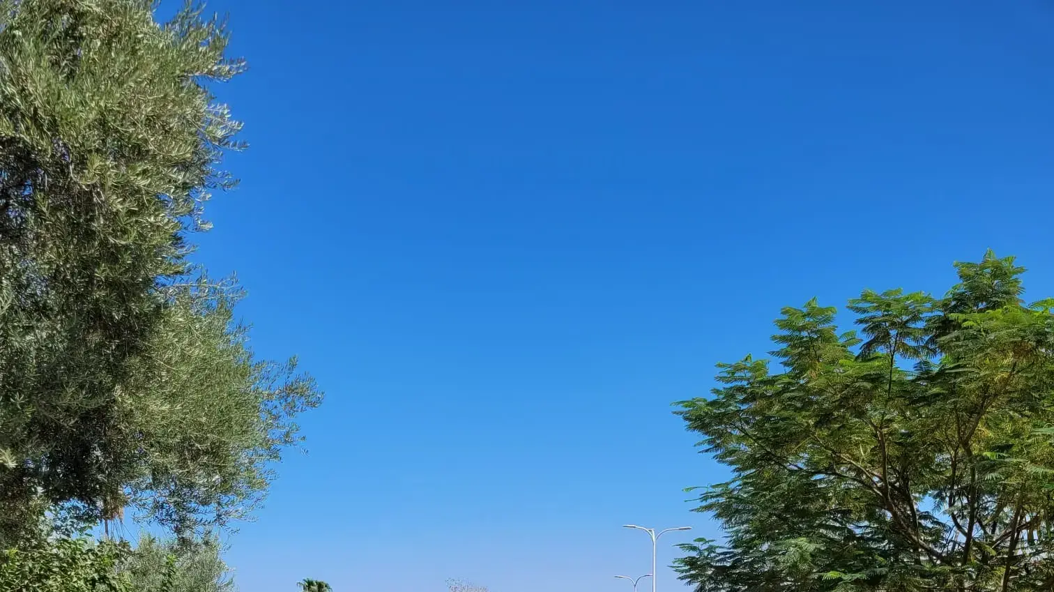 מטיילים בחמת טבריה, 25 בסטפמבר 2021 מטיילים בחמת טבריה, 25 בסטפמבר 2021