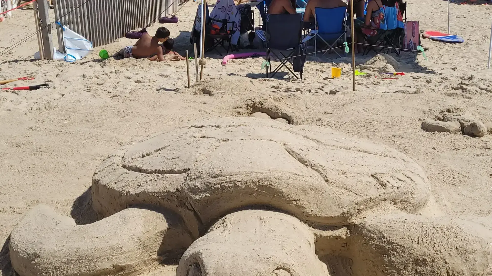 תחרות הפיסול בחול בגן הלאומי פלמחים תחרות הפיסול בחול בגן הלאומי פלמחים