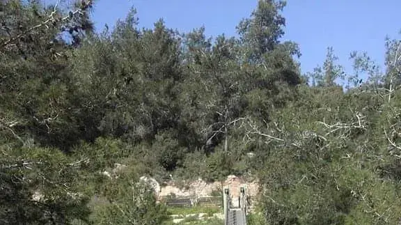 אשר בסון בן 76 מקרית ים, נהג האוטובוס שנהרג בתאונה בגליל, 29 בספטמבר 2021 אשר בסון בן 76 מקרית ים, נהג האוטובוס שנהרג בתאונה בגליל, 29 בספטמבר 2021