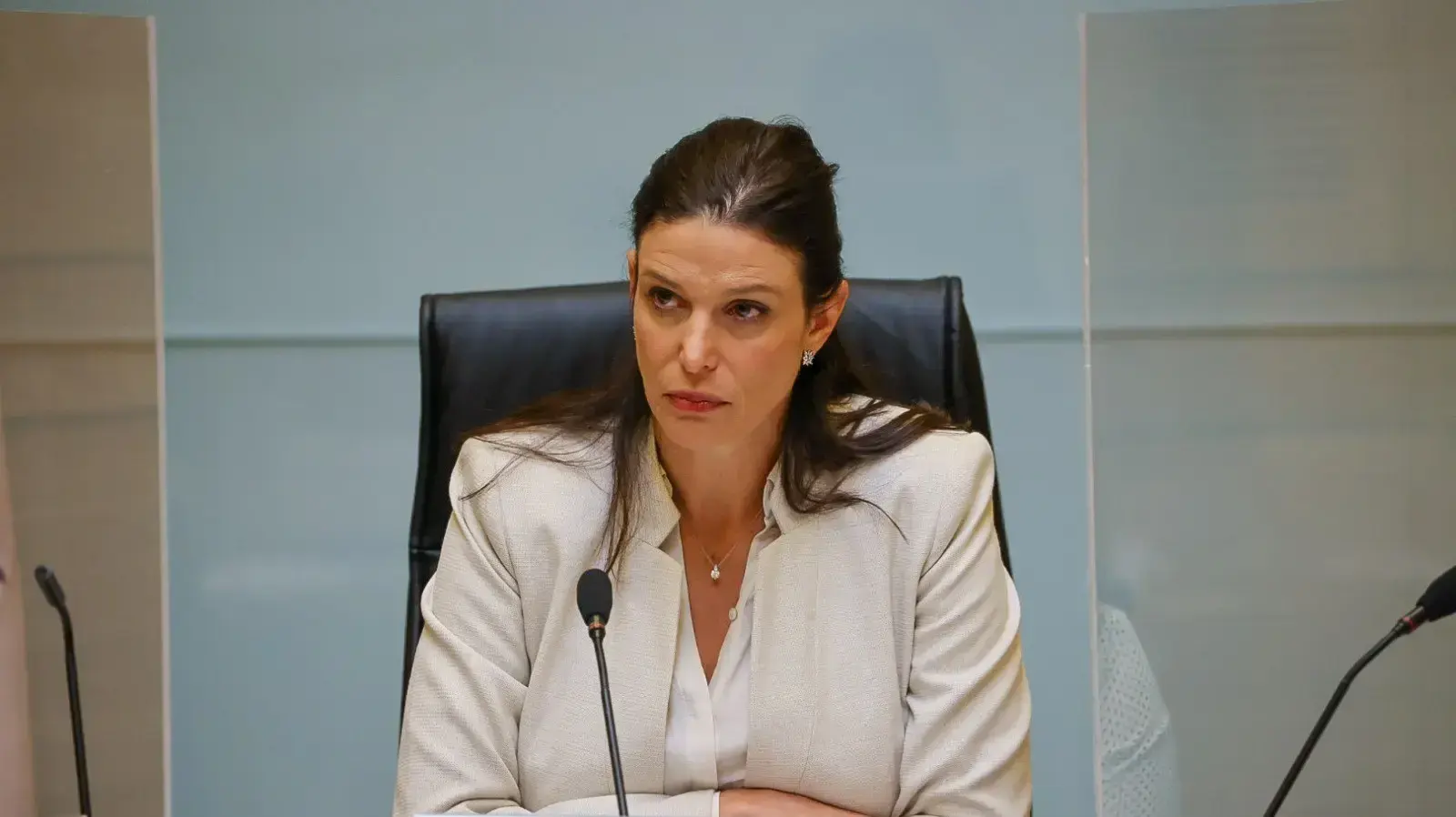ח"כ אפרת רייטן, יו"ר ועדת העבודה והרווחה ח"כ אפרת רייטן, יו"ר ועדת העבודה והרווחה