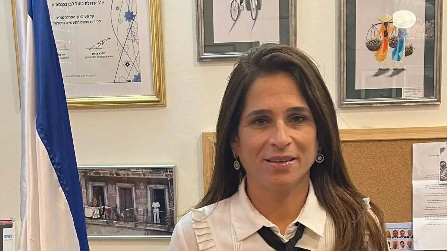 חה"כ מירב בן ארי