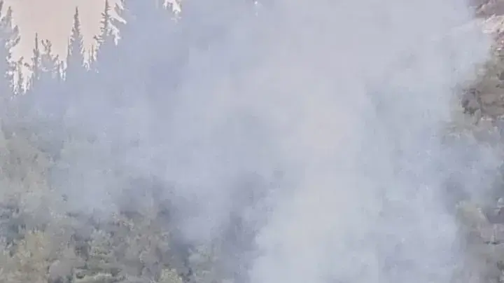 מוקדי שריפות באזור פארק בגין (בסמוך לישובים צור הדסה ובר גיורא), 7 באוקטובר 2021 מוקדי שריפות באזור פארק בגין (בסמוך לישובים צור הדסה ובר גיורא), 7 באוקטובר 2021