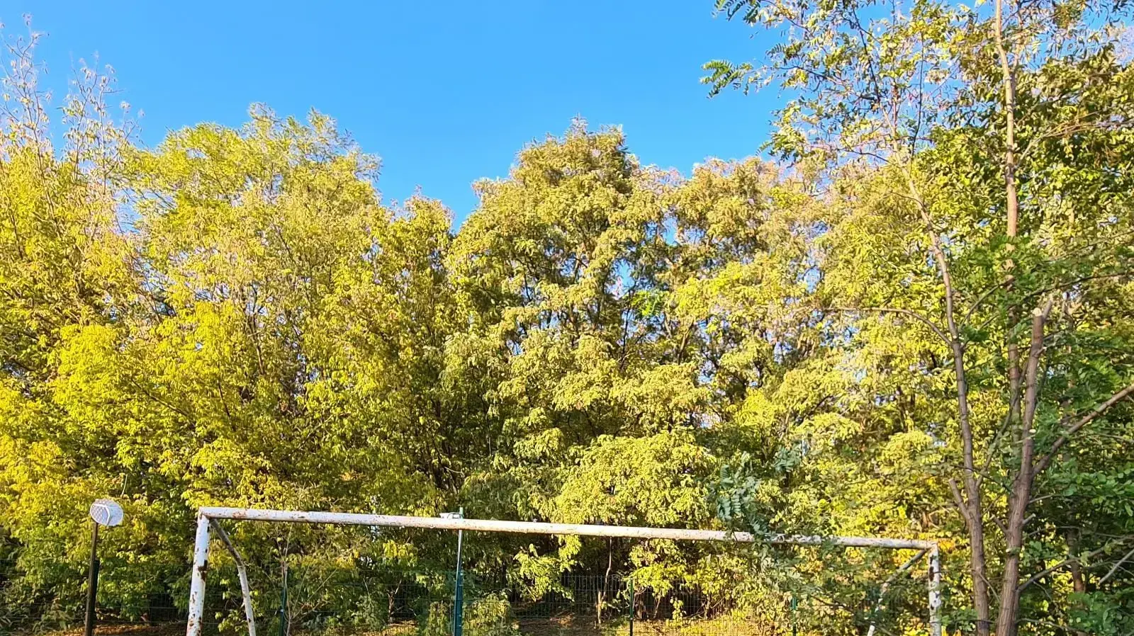 שער של מגרש כדורגל מעל בורות טבח ההמונים בבאבי יאר שער של מגרש כדורגל מעל בורות טבח ההמונים בבאבי יאר