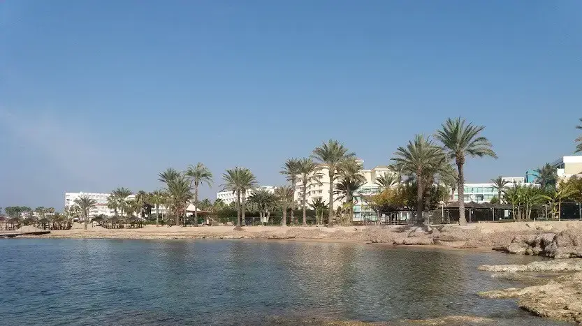 חוף ים בקפריסין
8.10.21 חוף ים בקפריסין
8.10.21