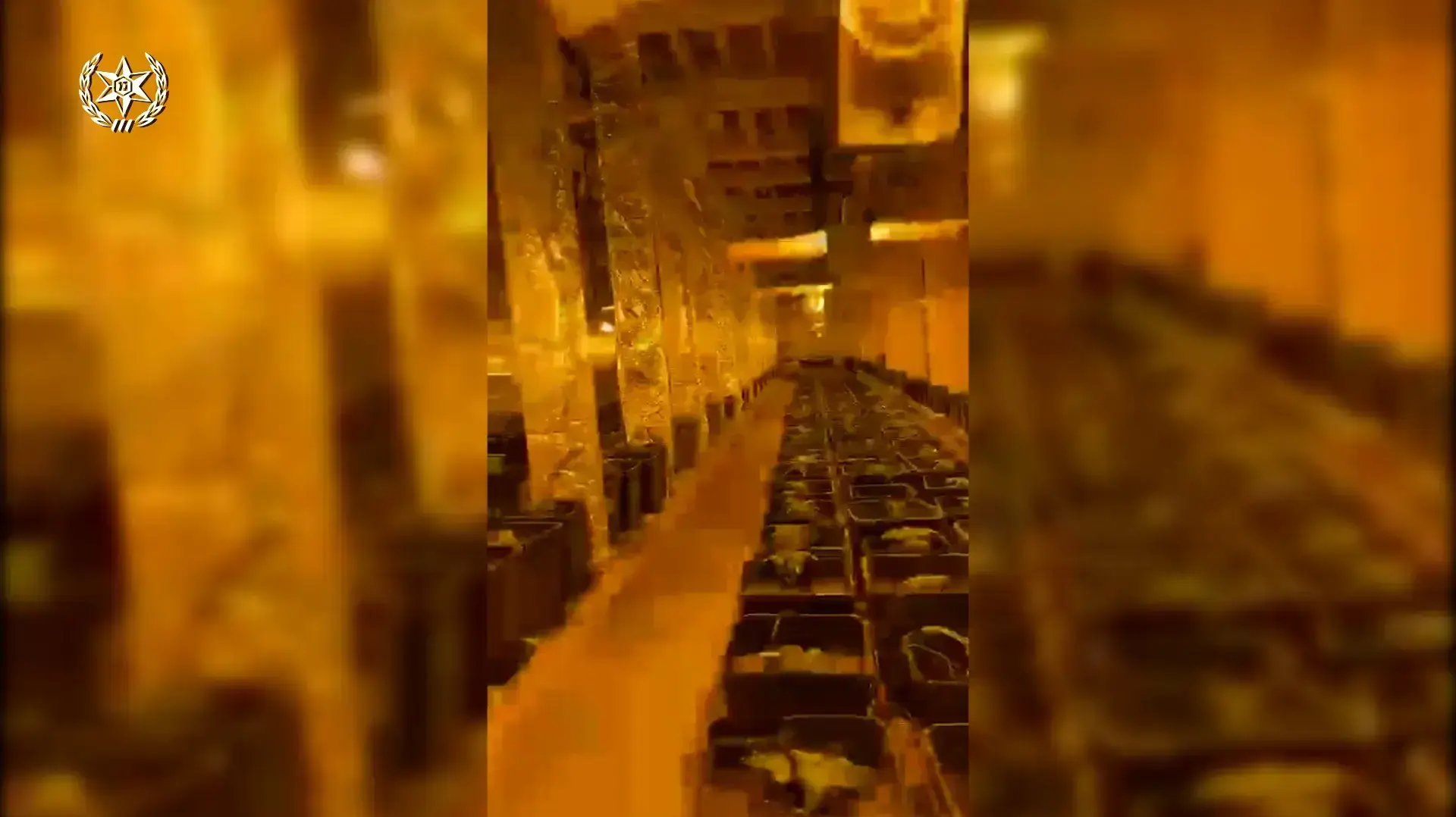 המשטרה חשפה מנהרה באורך 120 מטרים בה גודלו מאות שתילי קנאביס במושב עמיעוז, 13 באוקטובר 2021