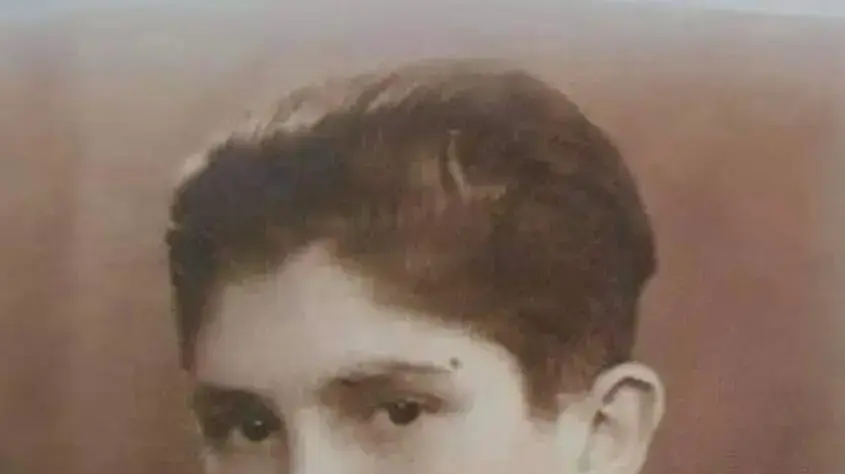 אריה חורש אריה חורש