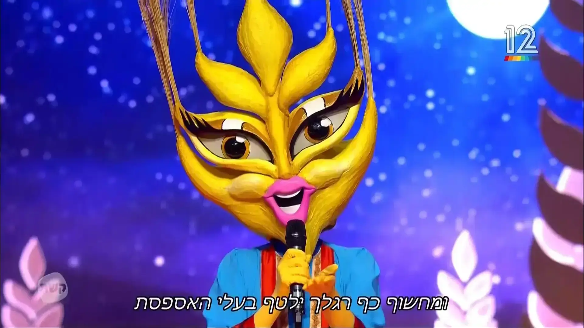 הזמר במסכה במסיכה הזמר במסכה במסיכה