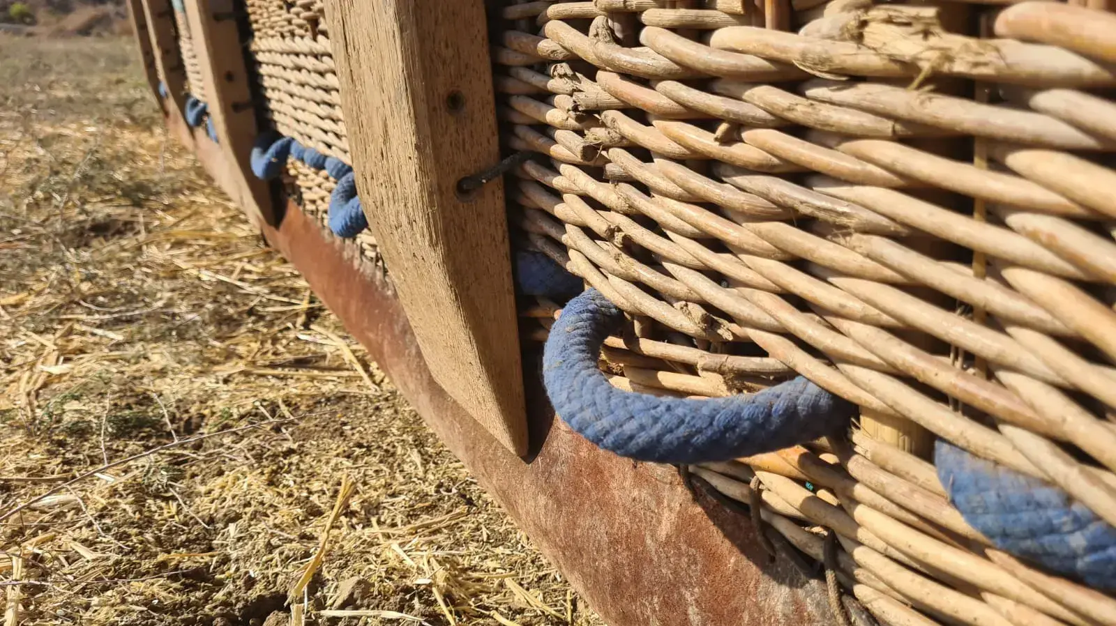 הידיות שההרוג מכדור פורח
אחז לאחר שנפל אל מותו 19 באוקטבור 2021 הידיות שההרוג מכדור פורח
אחז לאחר שנפל אל מותו 19 באוקטבור 2021