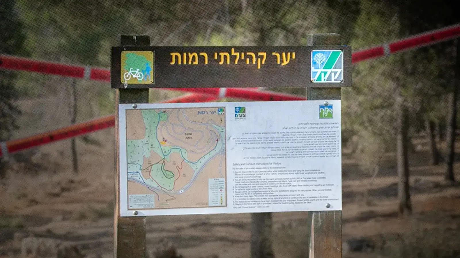 יער רמות