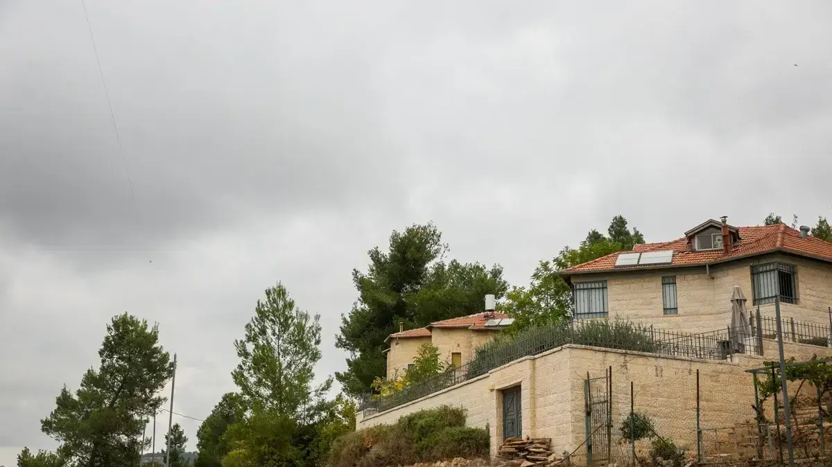 יער רמות 20 באוקטבור 2021 יער רמות 20 באוקטבור 2021