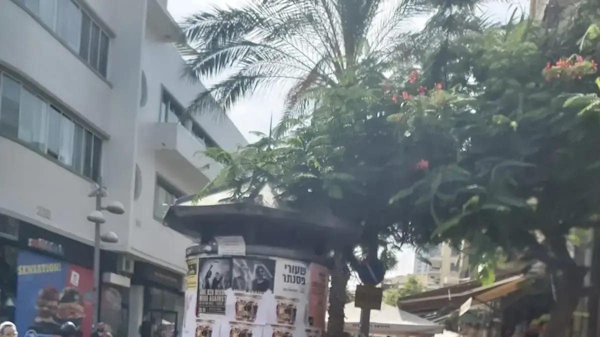 ארבעה משופטי "אקס פקטור לאירוויזיון" - אביב גפן, מרגלית צנעני, מירי מסיקה ונטע ברזילי - מקיימים הופעה בהפתעה בנחלת בנימין שבתל אביב, בעוד מחופשים לדמויות מ"משחק הדיונון" ארבעה משופטי "אקס פקטור לאירוויזיון" - אביב גפן, מרגלית צנעני, מירי מסיקה ונטע ברזילי - מקיימים הופעה בהפתעה בנחלת בנימין שבתל אביב, בעוד מחופשים לדמויות מ"משחק הדיונון"