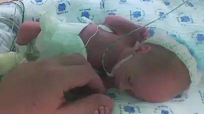 ליה שחורי בפגיה ליה שחורי בפגיה