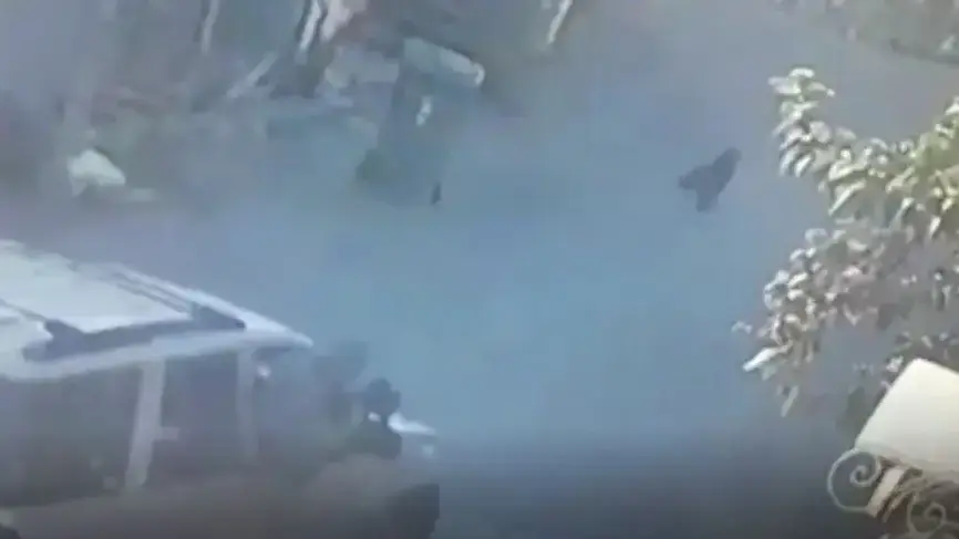 תיעוד מצלמת אבטחה בבית ג'אן, בה נראה מרדף של רכב אחרי כלבים ביישוב
