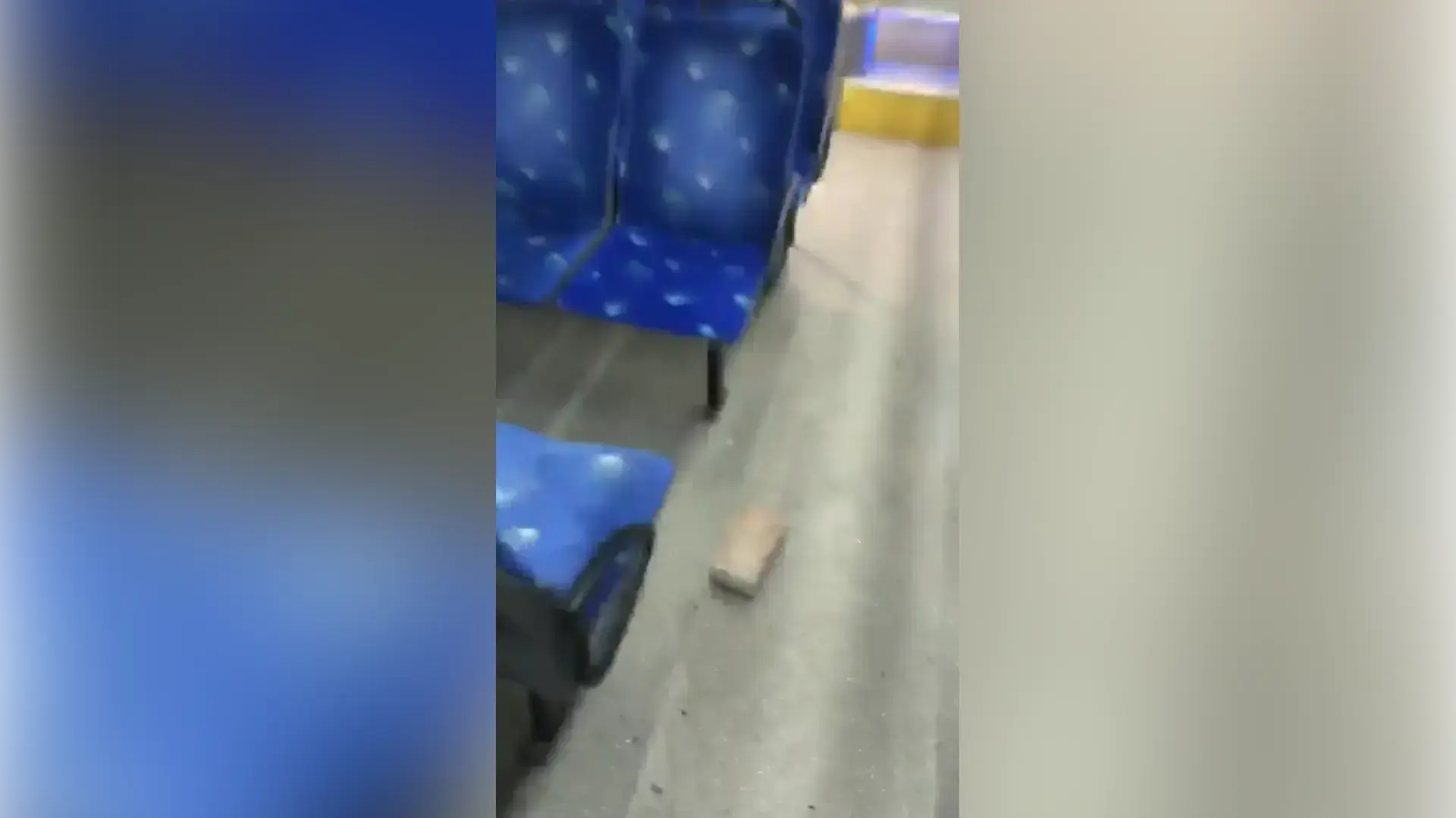 פלסטינים השליכו אבנים לעבר אוטובוס בדרך למעלה אדומים, הנהג נפצע קל
21.11.21 פלסטינים השליכו אבנים לעבר אוטובוס בדרך למעלה אדומים, הנהג נפצע קל
21.11.21