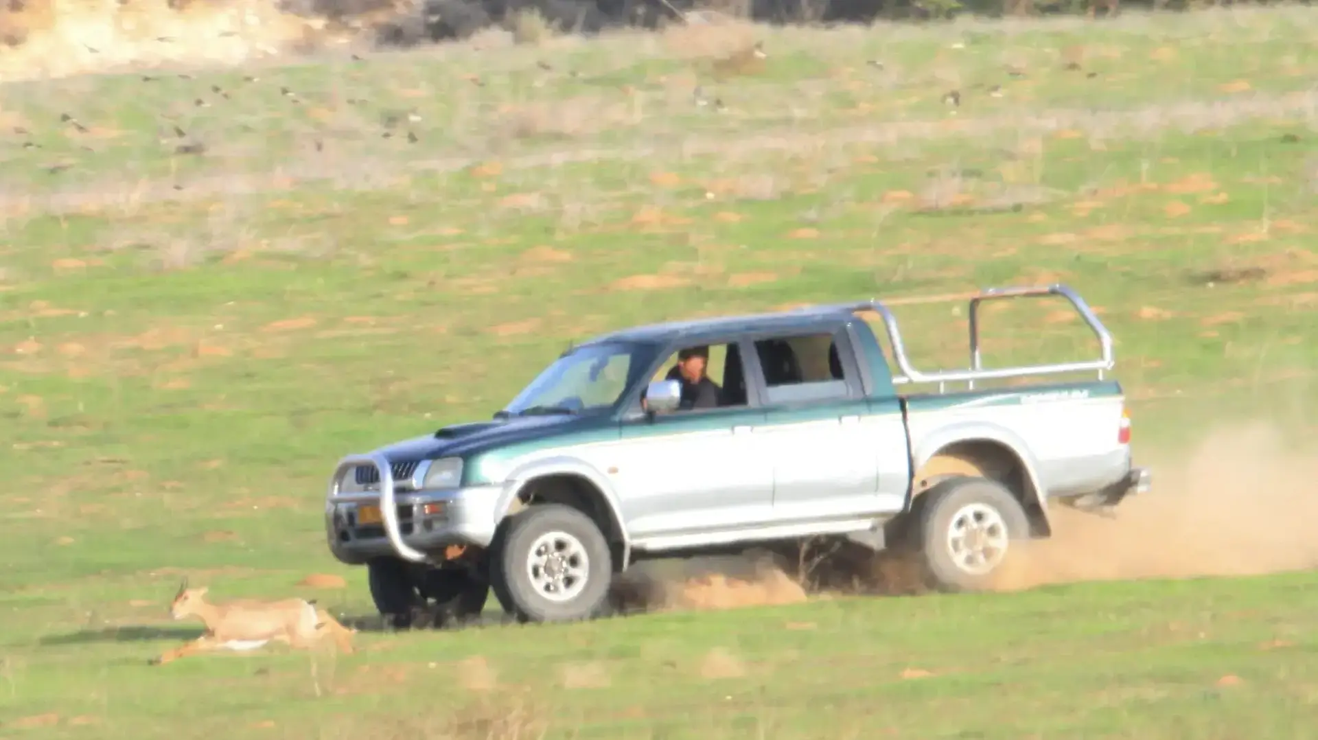 מרדף של ציידים אחרי צבי מרדף של ציידים אחרי צבי