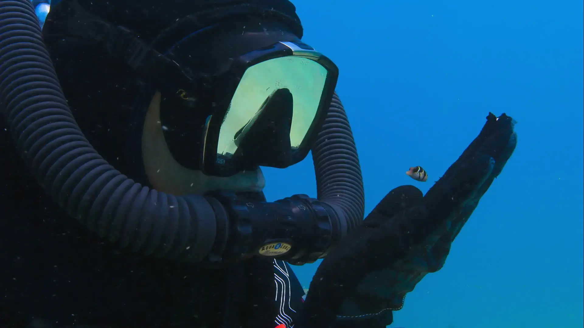 אבו נפחא: נפלאות השונית (Puff: Wonders of the Reef) אבו נפחא: נפלאות השונית (Puff: Wonders of the Reef)