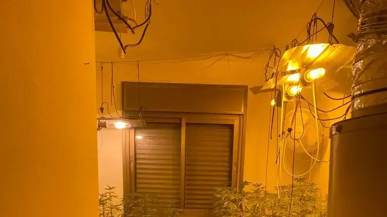 הפעלת מעבדת הידרו ובה מאות שתילים בדירתו של בן 75
2 בינואר 2021
הפעלת מעבדת הידרו ובה מאות שתילים בדירתו של בן 75
2 בינואר 2021