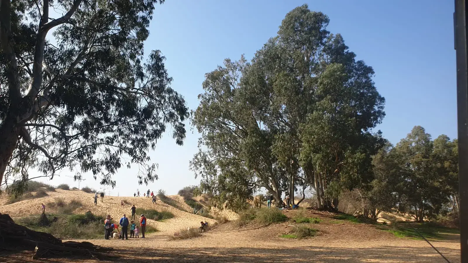 הגן הלאומי שפך נחל שורק, 8 בינואר 2021 הגן הלאומי שפך נחל שורק, 8 בינואר 2021