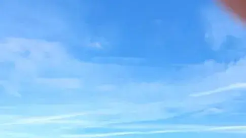 דניאלה רייבנבך. 14 בינואר 2022 דניאלה רייבנבך. 14 בינואר 2022